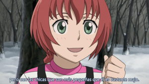 Darker than Black: Ryuusei no Gemini 